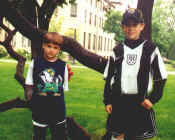 ND-tree.jpg (48535 bytes)