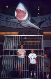 Shark-corrine.jpg (92948 bytes)