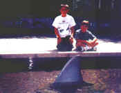 Shark-fin.jpg (35818 bytes)