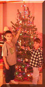 DE-tree.JPG (112722 bytes)