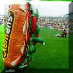 crewcat-takes-out-firedog.jpg (89809 bytes)