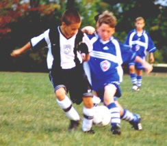 Click to go to Davids team page